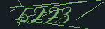 CAPTCHA code