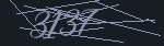 CAPTCHA code