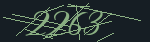 CAPTCHA code