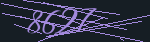 CAPTCHA code